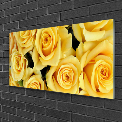 Glasbild aus Plexiglas® Rosen Pflanzen