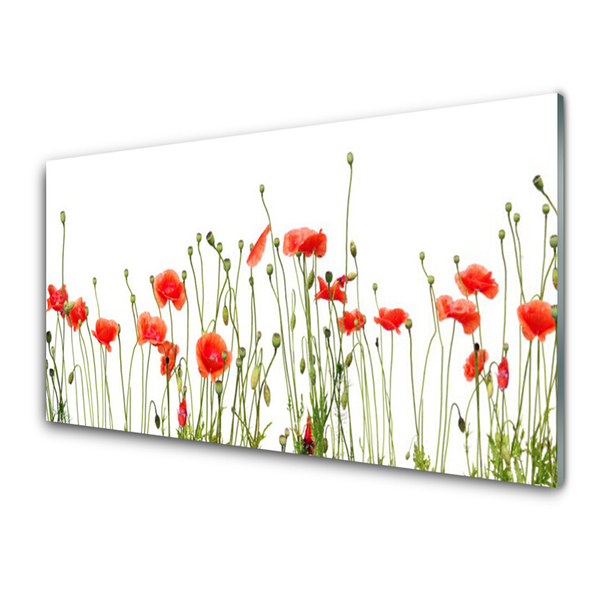 Glasbild aus Plexiglas® Mohnblumen Pflanzen