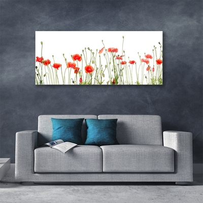 Glasbild aus Plexiglas® Mohnblumen Pflanzen