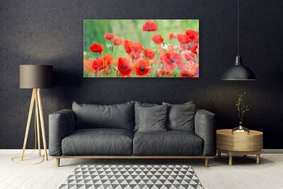 Glasbild aus Plexiglas® Mohnblumen Pflanzen