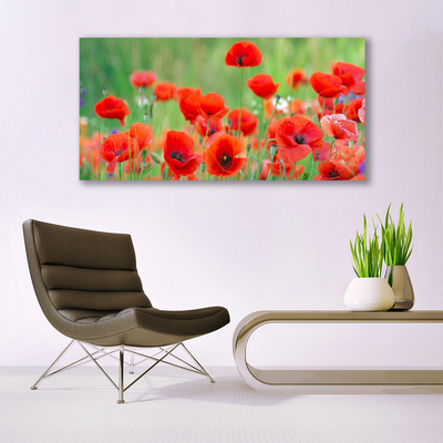 Glasbild aus Plexiglas® Mohnblumen Pflanzen