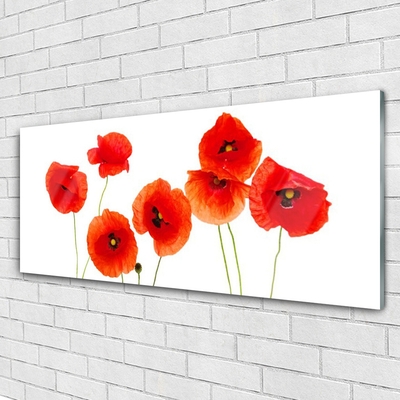 Glasbild aus Plexiglas® Mohnblumen Pflanzen