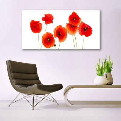 Glasbild aus Plexiglas® Mohnblumen Pflanzen