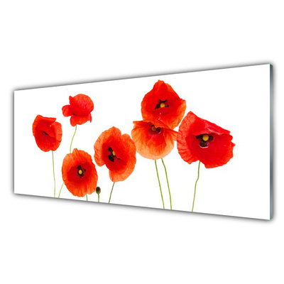 Glasbild aus Plexiglas® Mohnblumen Pflanzen