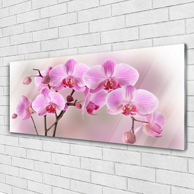 Glasbild aus Plexiglas® Blumen Pflanzen