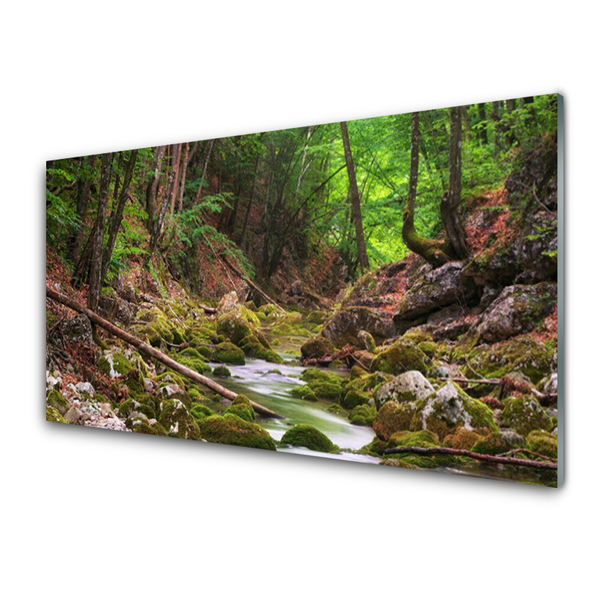 Glasbild aus Plexiglas® Wald Natur