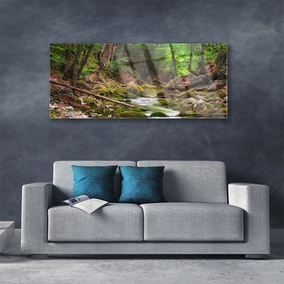 Glasbild aus Plexiglas® Wald Natur