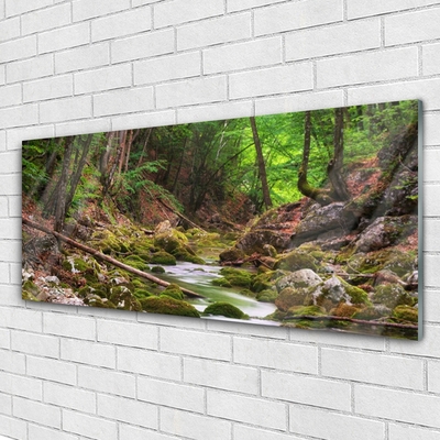 Glasbild aus Plexiglas® Wald Natur