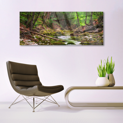 Glasbild aus Plexiglas® Wald Natur