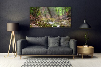 Glasbild aus Plexiglas® Wald Natur