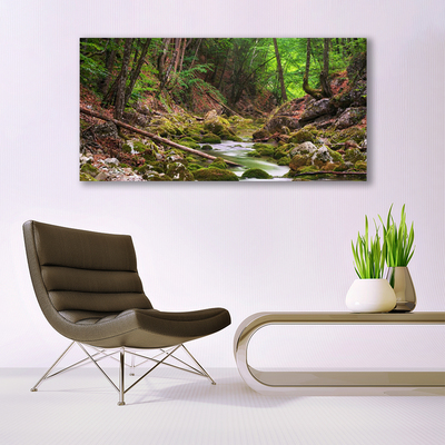 Glasbild aus Plexiglas® Wald Natur