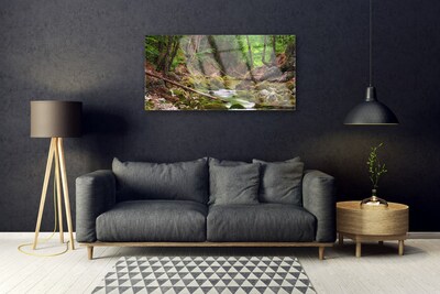 Glasbild aus Plexiglas® Wald Natur