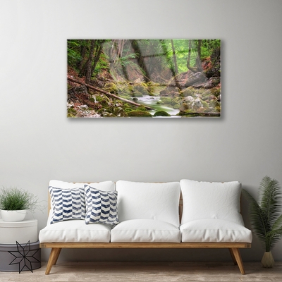 Glasbild aus Plexiglas® Wald Natur