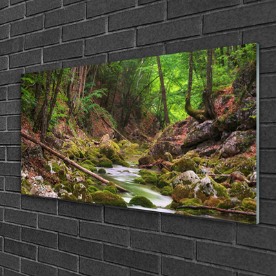 Glasbild aus Plexiglas® Wald Natur