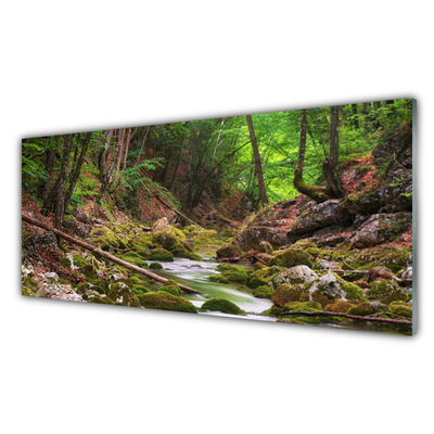 Glasbild aus Plexiglas® Wald Natur