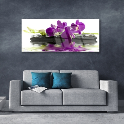 Glasbild aus Plexiglas® Blumen Pflanzen