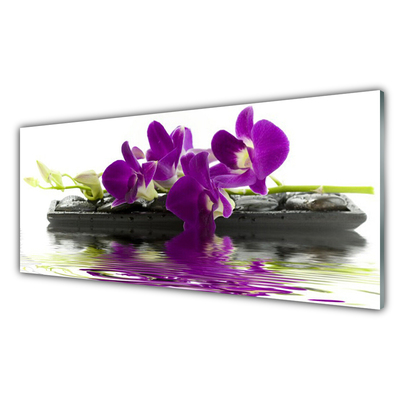 Glasbild aus Plexiglas® Blumen Pflanzen