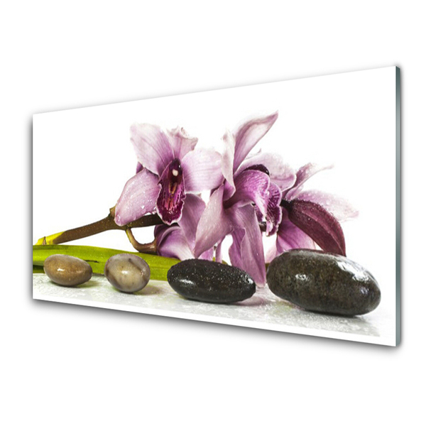 Glasbild aus Plexiglas® Blumen Steine Pflanzen