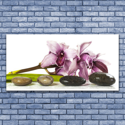 Glasbild aus Plexiglas® Blumen Steine Pflanzen