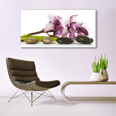 Glasbild aus Plexiglas® Blumen Steine Pflanzen