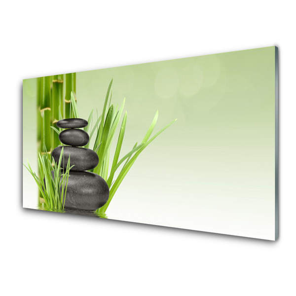 Glasbild aus Plexiglas® Bambusrohre Gras Steine Pflanzen