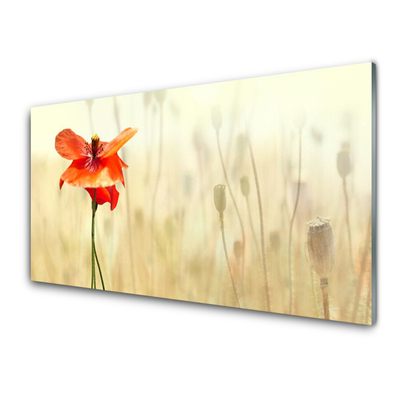 Glasbild aus Plexiglas® Mohnblume Pflanzen