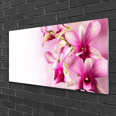 Glasbild aus Plexiglas® Blumen Pflanzen