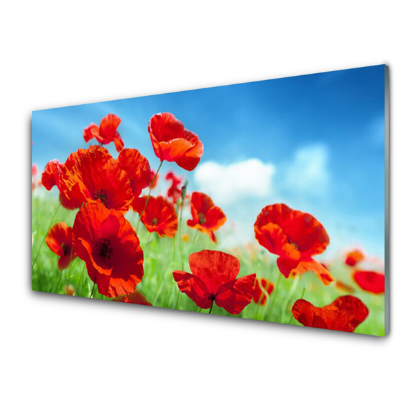 Glasbild aus Plexiglas® Mohnblumen Pflanzen