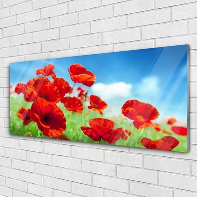 Glasbild aus Plexiglas® Mohnblumen Pflanzen