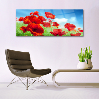 Glasbild aus Plexiglas® Mohnblumen Pflanzen