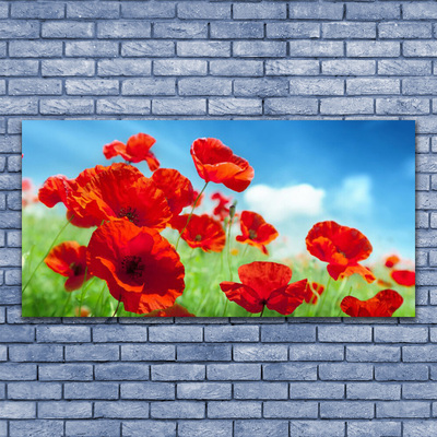 Glasbild aus Plexiglas® Mohnblumen Pflanzen