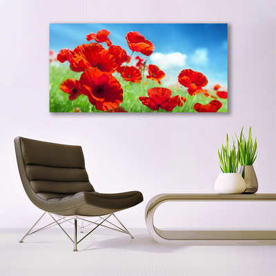 Glasbild aus Plexiglas® Mohnblumen Pflanzen