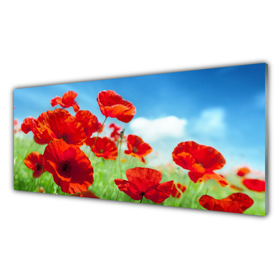 Glasbild aus Plexiglas® Mohnblumen Pflanzen