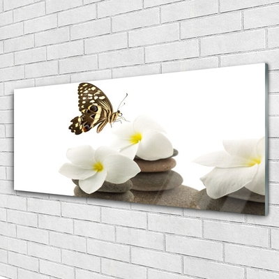 Glasbild aus Plexiglas® Schmetterling Blumen Steine Pflanzen