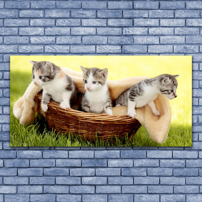 Glasbild aus Plexiglas® Katzen Tiere