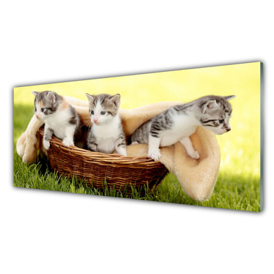 Glasbild aus Plexiglas® Katzen Tiere