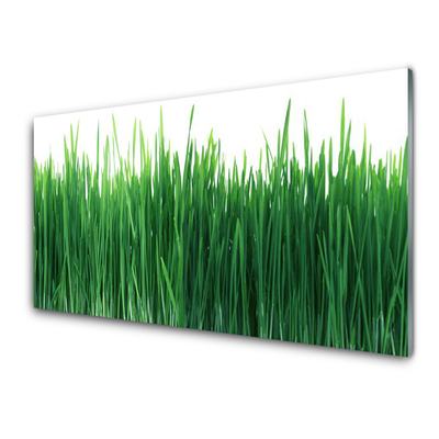 Glasbild aus Plexiglas® Gras Natur