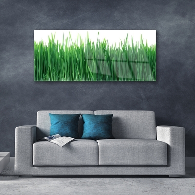 Glasbild aus Plexiglas® Gras Natur