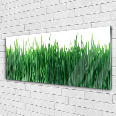 Glasbild aus Plexiglas® Gras Natur