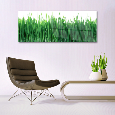 Glasbild aus Plexiglas® Gras Natur