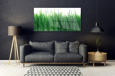 Glasbild aus Plexiglas® Gras Natur