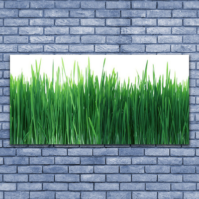 Glasbild aus Plexiglas® Gras Natur