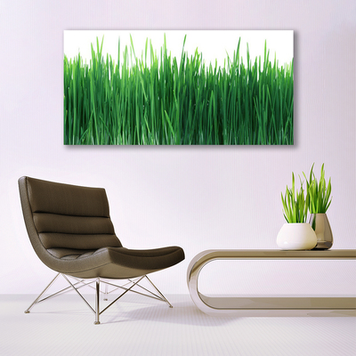 Glasbild aus Plexiglas® Gras Natur