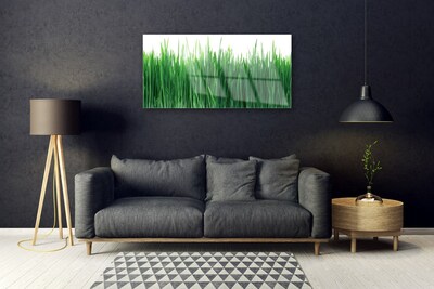 Glasbild aus Plexiglas® Gras Natur