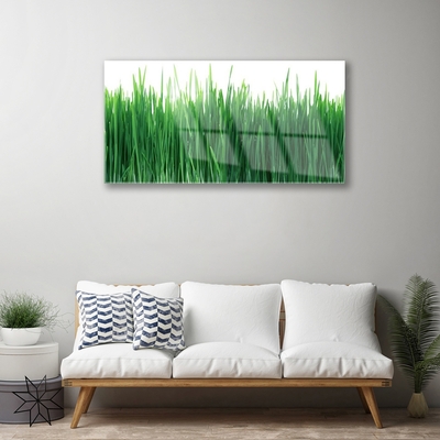 Glasbild aus Plexiglas® Gras Natur