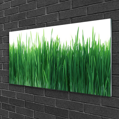 Glasbild aus Plexiglas® Gras Natur