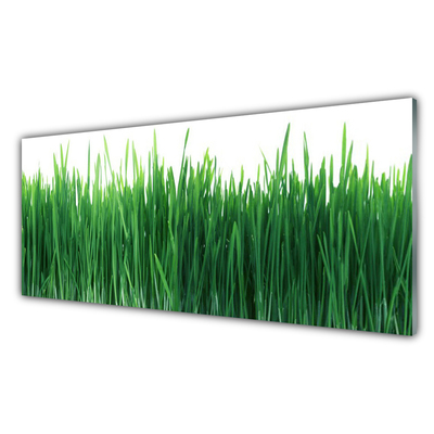 Glasbild aus Plexiglas® Gras Natur