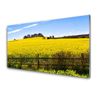 Glasbild aus Plexiglas® Acker Landschaft