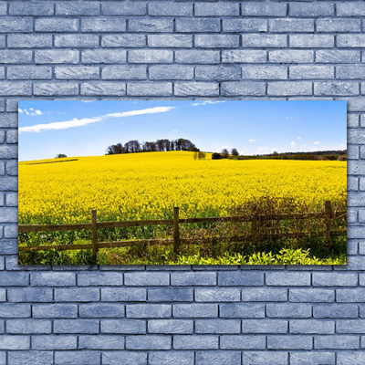 Glasbild aus Plexiglas® Acker Landschaft