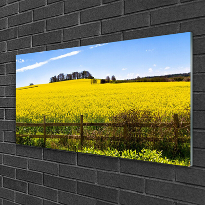 Glasbild aus Plexiglas® Acker Landschaft